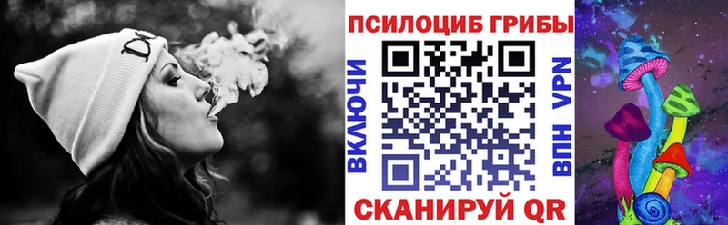 Псилоцибиновые грибы Psilocybe  Купить  Ковдор 
