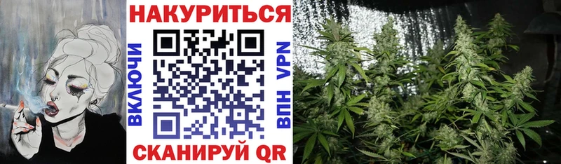 Бошки Шишки ГИДРОПОН  Купить  Ковдор 